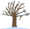 Frosty tree