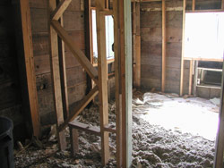 Stripping interior down to the studs